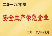  安全生產(chǎn)示范企業(yè)